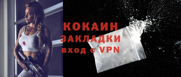 дмт Бородино