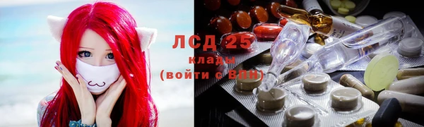 крисы Бронницы