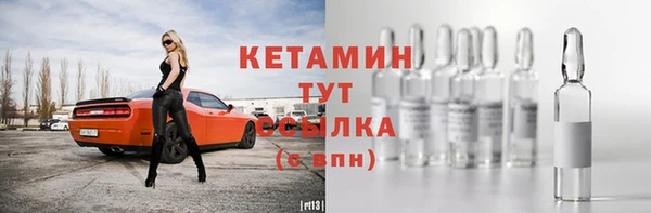 дмт Бородино