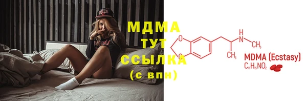 дмт Бородино