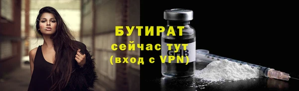 дмт Бородино