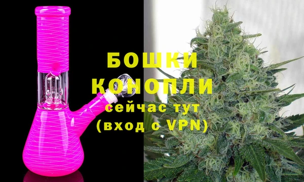 дмт Бородино