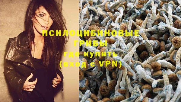 дмт Бородино