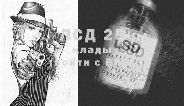крисы Бронницы