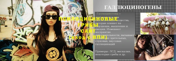 крисы Бронницы