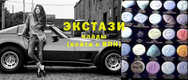 дмт Бородино