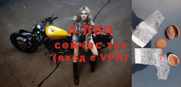 дмт Бородино