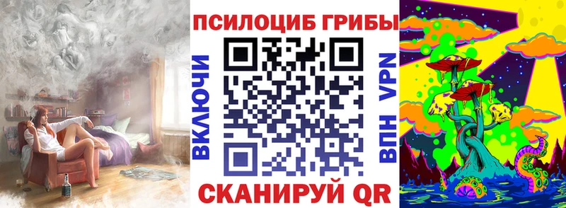 Псилоцибиновые грибы Magic Shrooms  Купить где  Рубцовск 